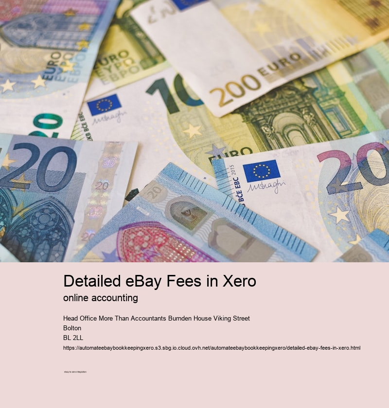 Detailed eBay Fees in Xero