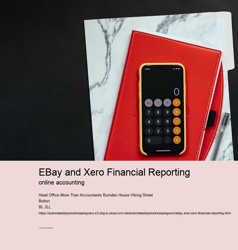 eBay and Xero Financial Reporting