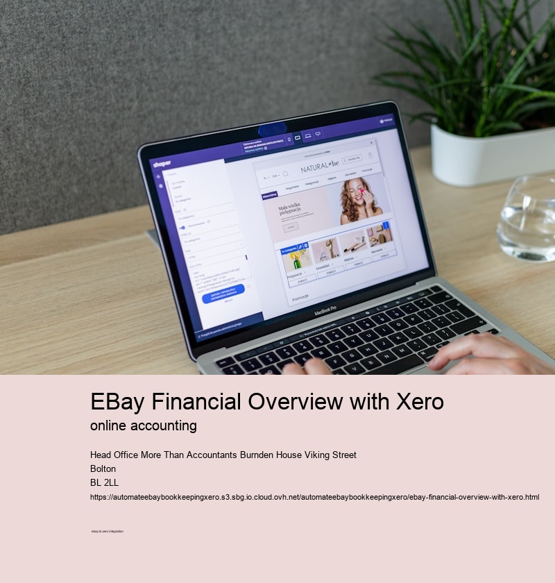 eBay Financial Overview with Xero