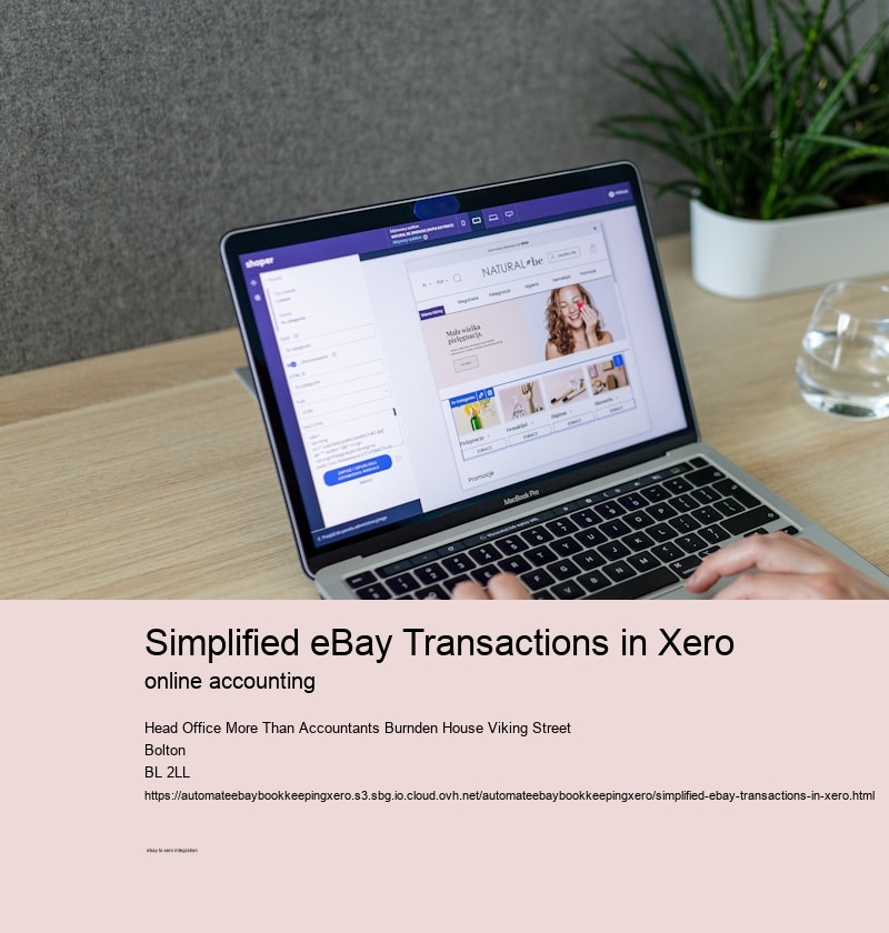 Simplified eBay Transactions in Xero