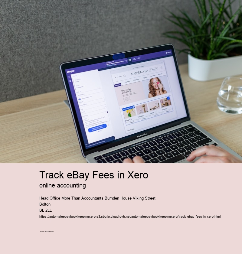 Track eBay Fees in Xero